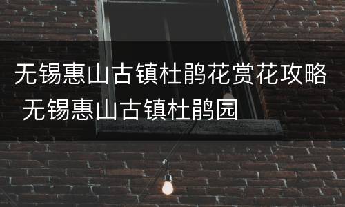 无锡惠山古镇杜鹃花赏花攻略 无锡惠山古镇杜鹃园