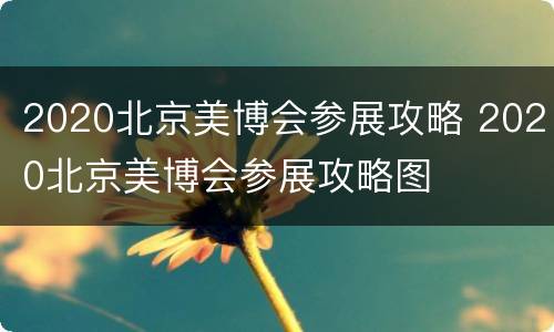2020北京美博会参展攻略 2020北京美博会参展攻略图