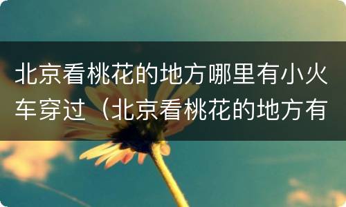 北京看桃花的地方哪里有小火车穿过（北京看桃花的地方有小火车穿山）