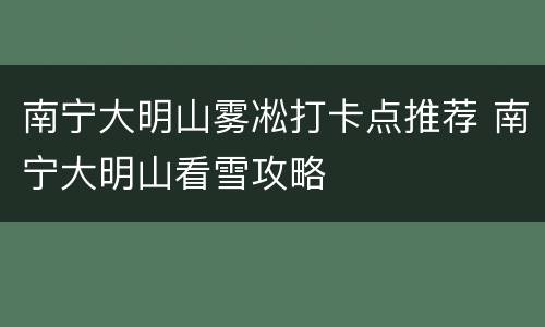 南宁大明山雾凇打卡点推荐 南宁大明山看雪攻略