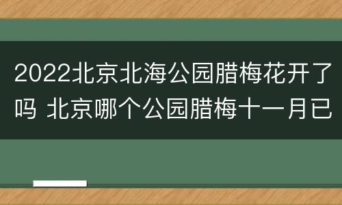 2022北京北海公园腊梅花开了吗 北京哪个公园腊梅十一月已开了
