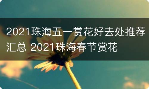 2021珠海五一赏花好去处推荐汇总 2021珠海春节赏花