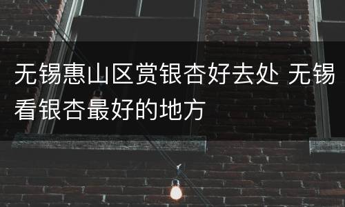 无锡惠山区赏银杏好去处 无锡看银杏最好的地方