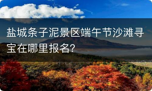 盐城条子泥景区端午节沙滩寻宝在哪里报名？
