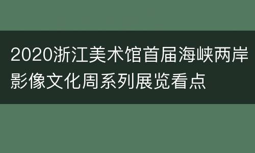 2020浙江美术馆首届海峡两岸影像文化周系列展览看点
