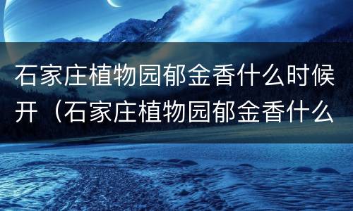 石家庄植物园郁金香什么时候开（石家庄植物园郁金香什么时候开园）