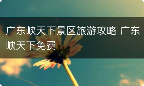 广东峡天下景区旅游攻略 广东峡天下免费