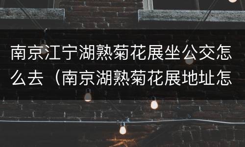 南京江宁湖熟菊花展坐公交怎么去（南京湖熟菊花展地址怎么去）