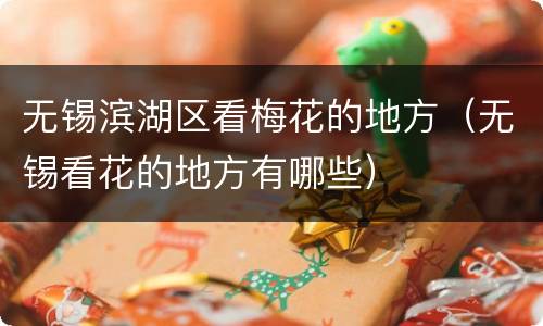 无锡滨湖区看梅花的地方（无锡看花的地方有哪些）