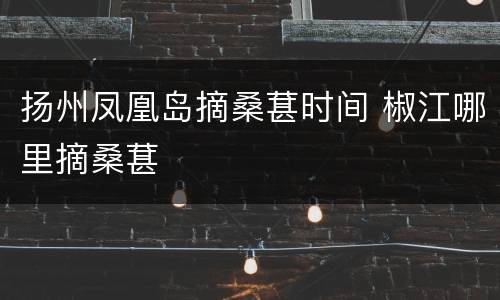 扬州凤凰岛摘桑葚时间 椒江哪里摘桑葚