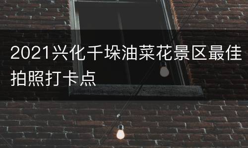 2021兴化千垛油菜花景区最佳拍照打卡点