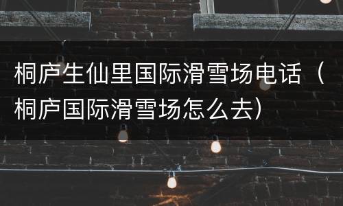 桐庐生仙里国际滑雪场电话（桐庐国际滑雪场怎么去）