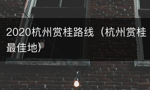 2020杭州赏桂路线（杭州赏桂最佳地）