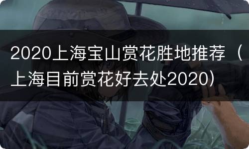 2020上海宝山赏花胜地推荐（上海目前赏花好去处2020）