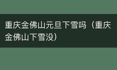 重庆金佛山元旦下雪吗（重庆金佛山下雪没）