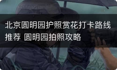 北京圆明园护照赏花打卡路线推荐 圆明园拍照攻略