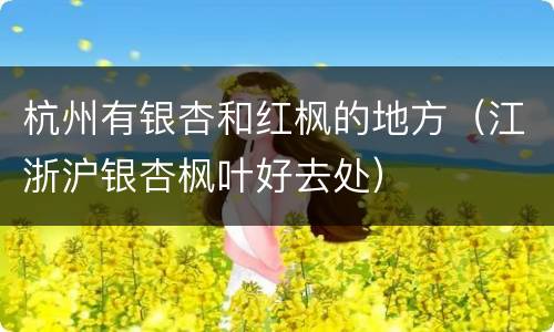杭州有银杏和红枫的地方（江浙沪银杏枫叶好去处）