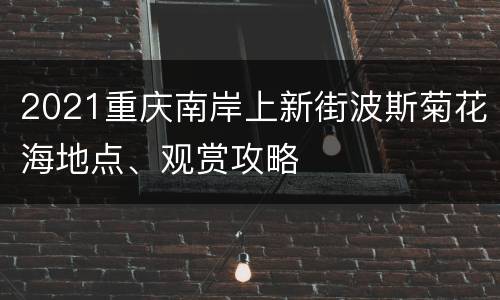 2021重庆南岸上新街波斯菊花海地点、观赏攻略