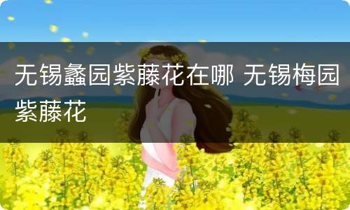 无锡蠡园紫藤花在哪 无锡梅园紫藤花