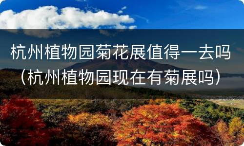 杭州植物园菊花展值得一去吗（杭州植物园现在有菊展吗）