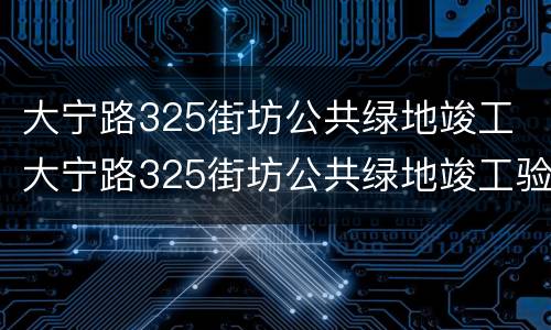 大宁路325街坊公共绿地竣工 大宁路325街坊公共绿地竣工验收