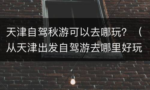 天津自驾秋游可以去哪玩？（从天津出发自驾游去哪里好玩三天）