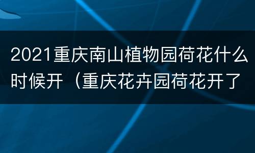 2021重庆南山植物园荷花什么时候开（重庆花卉园荷花开了吗）