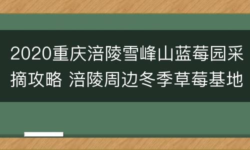 2020重庆涪陵雪峰山蓝莓园采摘攻略 涪陵周边冬季草莓基地