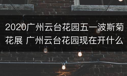 2020广州云台花园五一波斯菊花展 广州云台花园现在开什么花