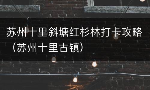 苏州十里斜塘红杉林打卡攻略（苏州十里古镇）