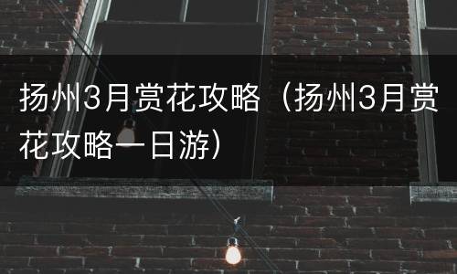 扬州3月赏花攻略（扬州3月赏花攻略一日游）