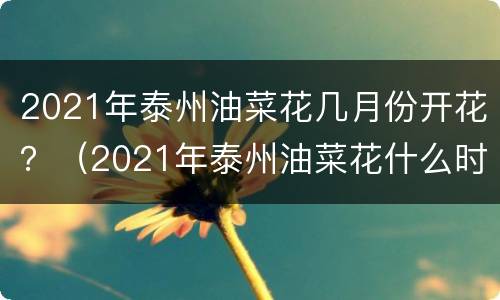 2021年泰州油菜花几月份开花？（2021年泰州油菜花什么时候开花）