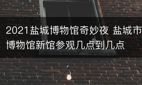 2021盐城博物馆奇妙夜 盐城市博物馆新馆参观几点到几点