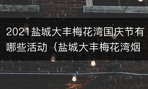 2021盐城大丰梅花湾国庆节有哪些活动（盐城大丰梅花湾烟花）