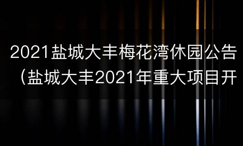 2021盐城大丰梅花湾休园公告（盐城大丰2021年重大项目开工）