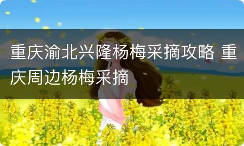 重庆渝北兴隆杨梅采摘攻略 重庆周边杨梅采摘