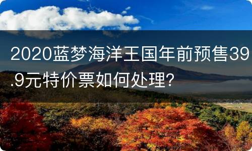 2020蓝梦海洋王国年前预售39.9元特价票如何处理？