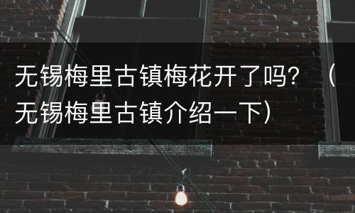 无锡梅里古镇梅花开了吗？（无锡梅里古镇介绍一下）