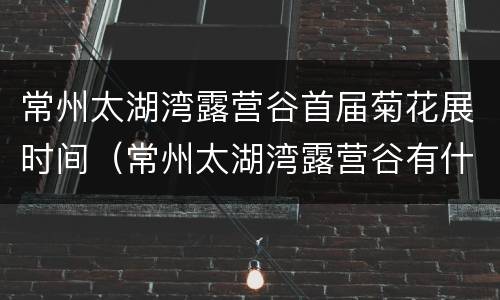 常州太湖湾露营谷首届菊花展时间（常州太湖湾露营谷有什么好玩的）