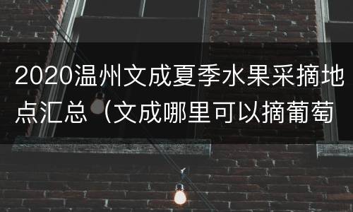 2020温州文成夏季水果采摘地点汇总（文成哪里可以摘葡萄）