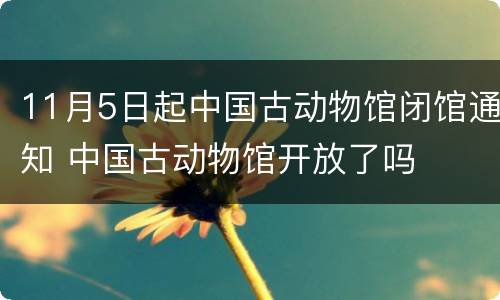 11月5日起中国古动物馆闭馆通知 中国古动物馆开放了吗