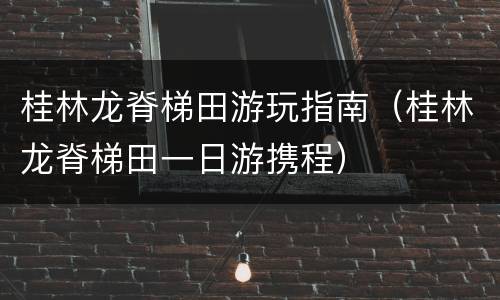 桂林龙脊梯田游玩指南（桂林龙脊梯田一日游携程）