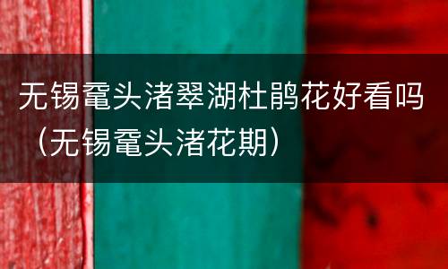 无锡鼋头渚翠湖杜鹃花好看吗（无锡鼋头渚花期）