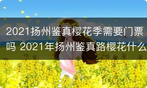 2021扬州鉴真樱花季需要门票吗 2021年扬州鉴真路樱花什么时候开