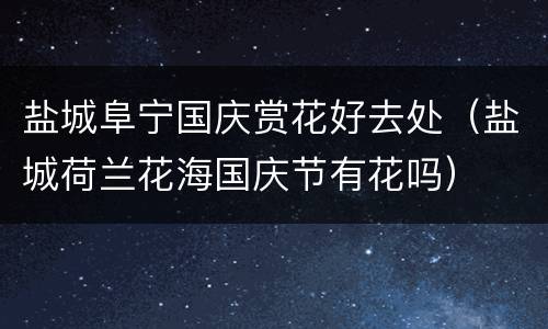 盐城阜宁国庆赏花好去处（盐城荷兰花海国庆节有花吗）