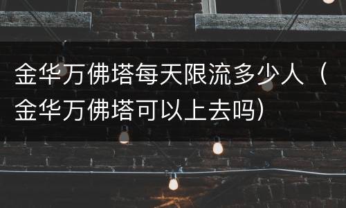 金华万佛塔每天限流多少人（金华万佛塔可以上去吗）