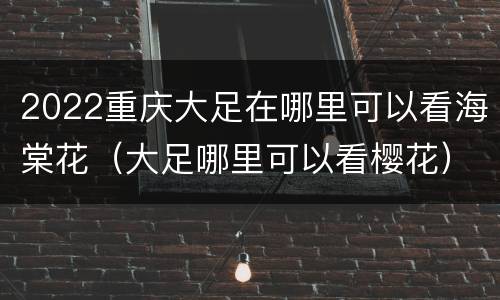 2022重庆大足在哪里可以看海棠花（大足哪里可以看樱花）