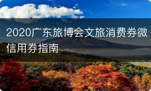 2020广东旅博会文旅消费券微信用券指南