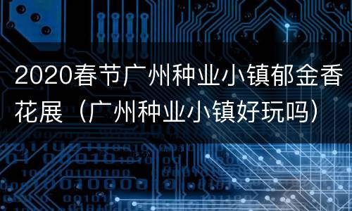 2020春节广州种业小镇郁金香花展（广州种业小镇好玩吗）