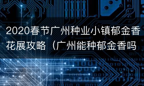 2020春节广州种业小镇郁金香花展攻略（广州能种郁金香吗）